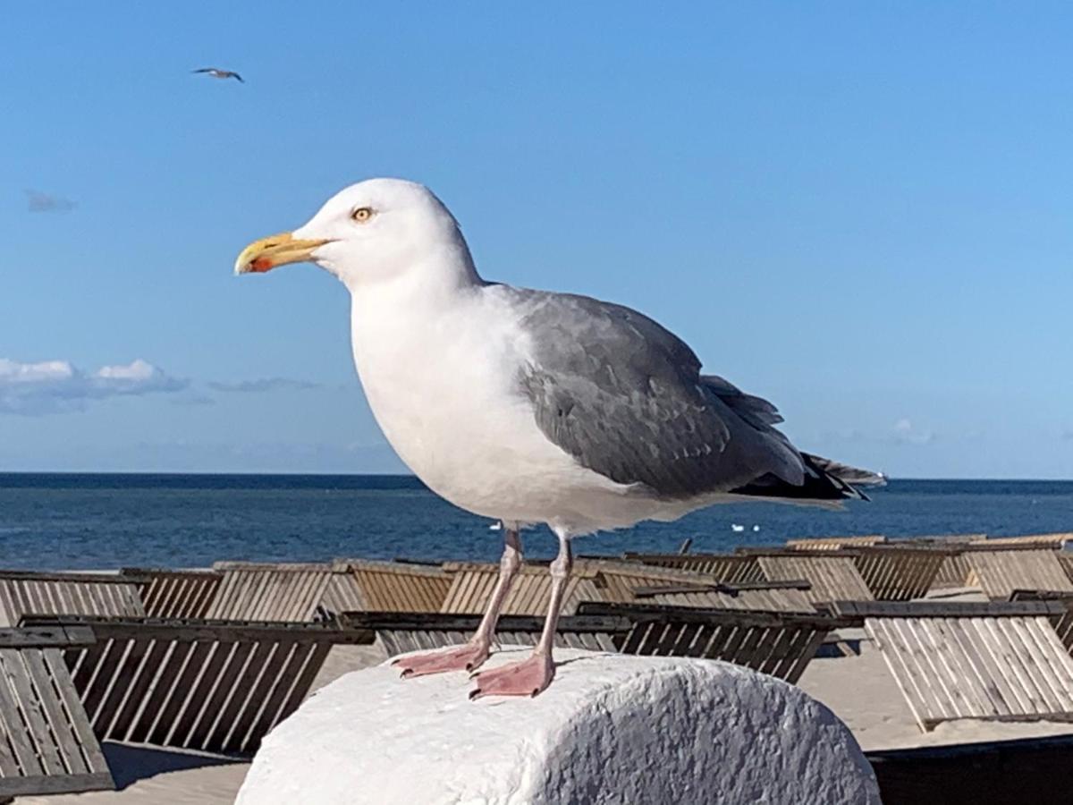 Fewo Lust Auf Laboe Exterior foto
